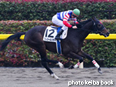 カラープリント(アルミ枠付き)2014年2月2日東京2R 3歳新馬(プレジールシチー)