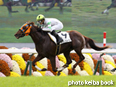 カラープリント(アルミ枠なし)2014年10月25日京都5R 2歳新馬(フミノムーン)