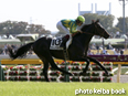 カラープリント(アルミ枠付き)2014年10月25日東京5R 2歳新馬(サトノクラウン)