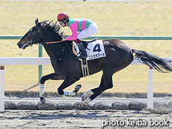 カラープリント(アルミ枠なし)2015年2月21日京都4R 3歳新馬(ニシオボヌール)