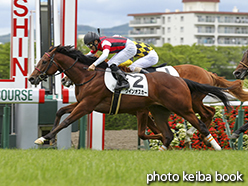 カラープリント(アルミ枠なし)2015年6月6日阪神5R 2歳新馬(ウインオスカー)