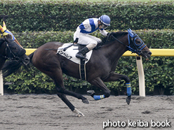 カラープリント(アルミ枠付き)2015年10月11日東京4R 2歳新馬(サンヘレナ)