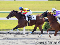 カラープリント(アルミ枠付き)2015年11月1日京都4R 2歳新馬(エルフィンコーブ)