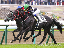 カラープリント(アルミ枠なし)2023年8月5日札幌5R 2歳新馬(アスクアイルビゼア)