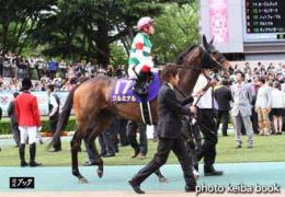 カラープリント(アルミ枠付き)2015年5月24日東京11R オークス(パドック)(クルミナル )