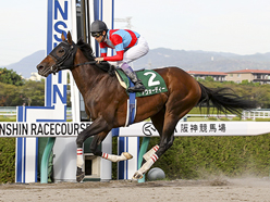 カラーパネル2015年10月3日阪神11R シリウスステークス(横)(アウォーディー)