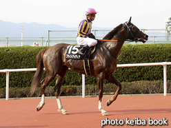 カラーパネル2016年4月10日阪神12R 梅田ステークス(本馬場)(ブライトアイディア)