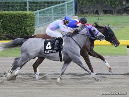 カラープリント(アルミ枠なし)2018年8月25日新潟11R BSN賞(サルサディオーネ)