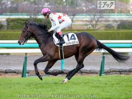 カラーパネル2015年12月12日阪神5R 2歳新馬(本馬場)(ミッキーロケット)