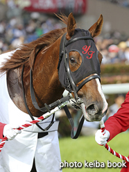 カラープリント(アルミ枠付き)2016年5月8日東京11R NHKマイルカップ(顔)(メジャーエンブレム)