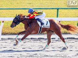 カラープリント(アルミ枠付き)2016年11月26日京都6R 2歳新馬(ゴールB)(ラビットラン)