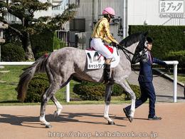 カラープリント(アルミ枠付き)2017年11月5日京都6R 2歳新馬(本馬場)(キャットタング)