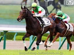 カラーパネル2018年6月10日阪神5R 2歳新馬(ゴールB)(サートゥルナーリア)