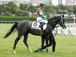 カラーパネル2018年7月29日小倉5R 2歳新馬(本馬場)(コチョウジュニア)