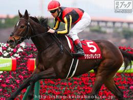 カラーパネル2019年12月21日阪神11R 第14回　阪神カップ(GII)(アップ)(グランアレグリア)