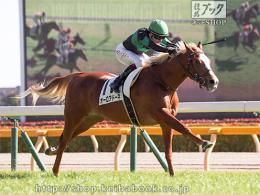 カラープリント(アルミ枠付き)2020年2月2日東京6R 3歳新馬(ゴールC)(オーロアドーネ)