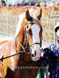 カラーパネル2020年2月2日東京6R 3歳新馬(顔)(オーロアドーネ)