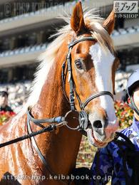カラープリント(アルミ枠付き)2020年2月2日東京6R 3歳新馬(顔B)(オーロアドーネ)