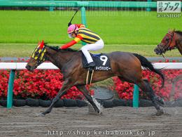 カラーパネル2020年4月18日中山10R 下総ステークス(ゴールB)(メイクハッピー)