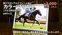 カラープリント(アルミ枠付き)2023年6月4日東京5R 2歳新馬(ボンドガール)