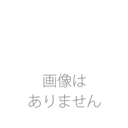 カラーパネル2015年11月28日京都11R 京都2歳ステークス(口取り)(ドレッドノータス)