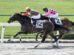 カラープリント(アルミ枠付き)2012年5月5日京都1R 3歳未勝利(サンビスタ)