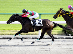 カラープリント(アルミ枠付き)2012年10月8日京都8R 3歳上500万下(サンビスタ)