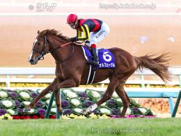 カラープリント(アルミ枠付き)2013年12月22日中山10R 有馬記念(ゴールC)(オルフェーヴル)