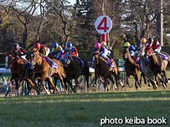 カラープリント(アルミ枠付き)2013年12月22日中山10R 有馬記念(4コーナー)(オルフェーヴル)