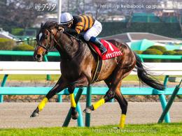 カラーパネル2015年3月22日中山11R スプリングステークス(キタサンブラック)