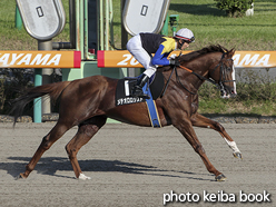 カラーパネル2015年9月20日中山11R ラジオ日本賞(本馬場)(メテオロロジスト)