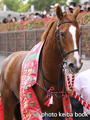 カラープリント(アルミ枠なし)2016年4月24日東京11R フローラステークス(顔)(チェッキーノ)