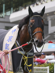 カラープリント(アルミ枠なし)2016年7月24日中京11R 中京記念(顔)(ガリバルディ)