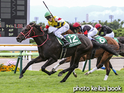 カラープリント(アルミ枠なし)2016年7月24日函館11R 函館2歳ステークス(ゴールB)(レヴァンテライオン)