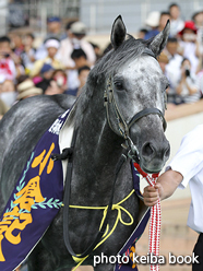 カラープリント(アルミ枠なし)2016年8月7日小倉11R 小倉記念(顔)(クランモンタナ)