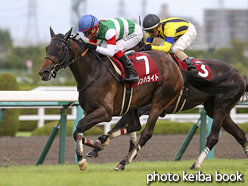 カラーパネル2016年9月18日阪神11Rローズステークス(ななめ) (シンハライト)