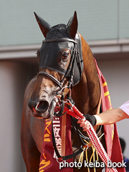 カラープリント(アルミ枠付き)2016年9月18日阪神11Rローズステークス(顔)(シンハライト)