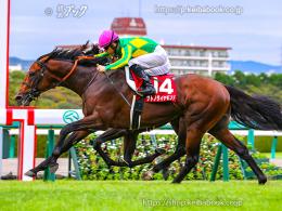 カラーパネル2016年9月25日阪神11R 神戸新聞杯(ゴールB)(サトノダイヤモンド)