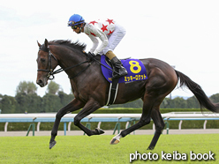 カラープリント(アルミ枠付き)2016年10月23日京都11R 菊花賞(本馬場)(ミッキーロケット)