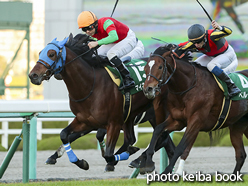 カラーパネル2016年12月10日阪神11R チャレンジカップ(アップ)(マイネルハニー)