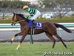 カラープリント(アルミ枠なし)2016年12月11日阪神11R 阪神ジュベナイルF(本馬場)(ゴールドケープ)