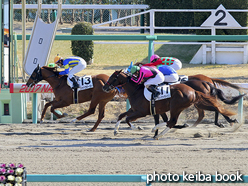 カラーパネル2017年1月22日中山3R 3歳未勝利(成績)(シャドウボーダー)