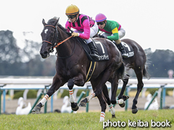 カラーパネル2017年2月19日京都9R つばき賞(ななめ)(ファンディーナ)