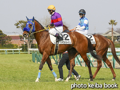 カラーパネル2017年3月20日中山8R 4歳上500万下(引き上げ)(ハヤブサライデン)