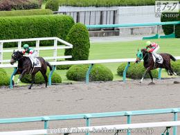 カラープリント(アルミ枠なし)2019年6月15日阪神5R 2歳新馬(斜め)(ジェネティクス)