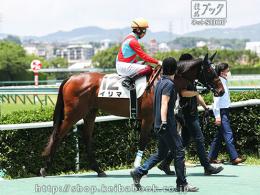 カラープリント(アルミ枠なし)2020年7月5日阪神5R 2歳新馬(入場)(イリマ)