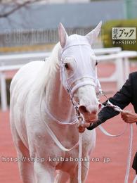 カラープリント(アルミ枠付き)2020年12月13日阪神11R 阪神ジュベナイルF(顔)(ソダシ)