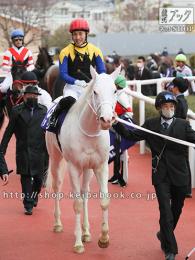 カラープリント(アルミ枠付き)2020年12月13日阪神11R 阪神ジュベナイルF(引き上げB)(ソダシ)