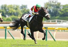 カラーパネル2021年6月5日東京5R 2歳新馬(ゴールB)(コマンドライン)