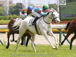 カラーパネル2021年6月12日東京5R 2歳新馬(ゴールB)(ハイアムズビーチ)